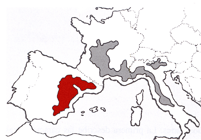 L'Europe et la truffe noire